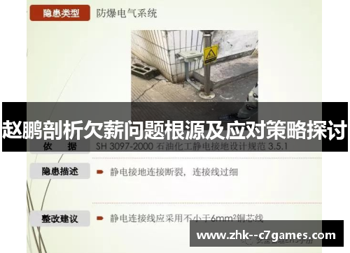 赵鹏剖析欠薪问题根源及应对策略探讨 赵鹏剖析欠薪问题根源及应对策略探讨