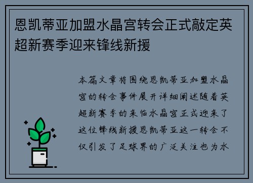 恩凯蒂亚加盟水晶宫转会正式敲定英超新赛季迎来锋线新援